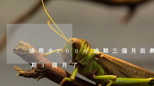 信用卡3000逾期三個月后果（信用卡萬逾期3個月了）