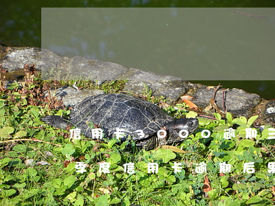信用卡3000逾期三個月會有什么后果（三季度信用卡逾期后果）