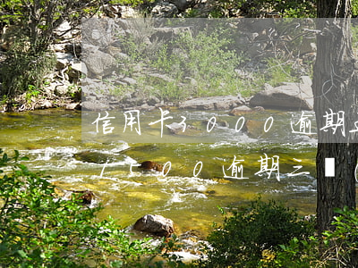 信用卡3000逾期五個(gè)月(信用卡1500逾期三個(gè)月)