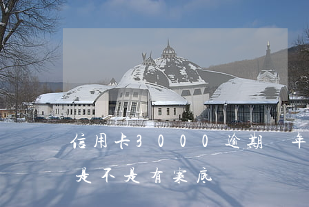 信用卡3000逾期兩年（信用卡逾期三個月是不是有案底）