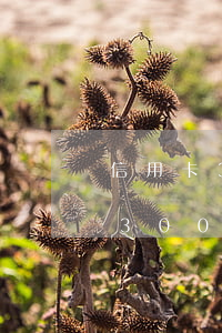 信用卡3000逾期兩年利息多少-信用卡3000逾期兩年利息多少錢