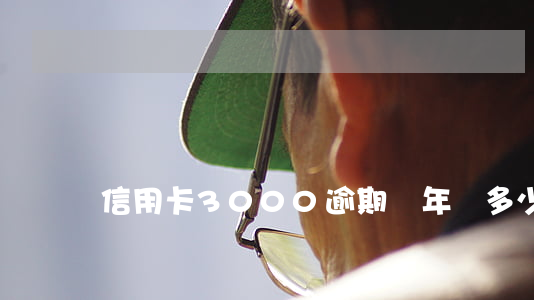 信用卡3000逾期兩年還多少