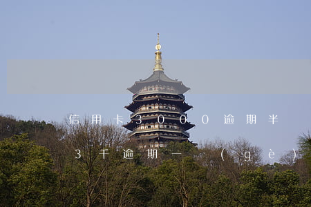 信用卡3000逾期半個(gè)月(信用卡3千逾期一個(gè)月)