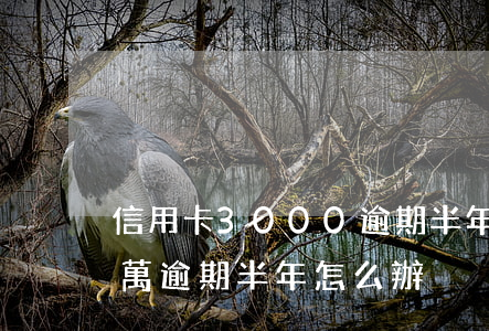 信用卡3000逾期半年怎么辦-信用卡3萬逾期半年怎么辦