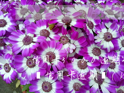 信用卡3000逾期半年會(huì)上門嗎（信用卡逾期會(huì)為幾千元上門嗎）