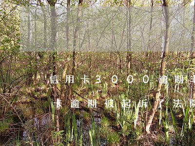 信用卡3000逾期半年法院传票-欠信用卡逾期被起诉了 法院寄传票寄到哪里