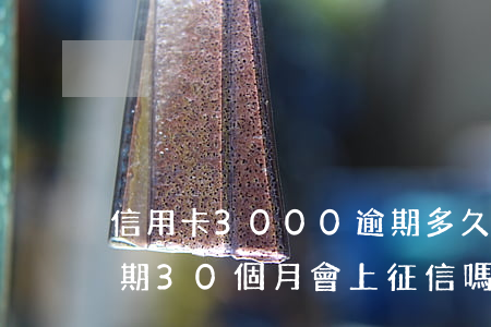信用卡3000逾期多久會上征信（信用卡逾期30個月會上征信嗎）
