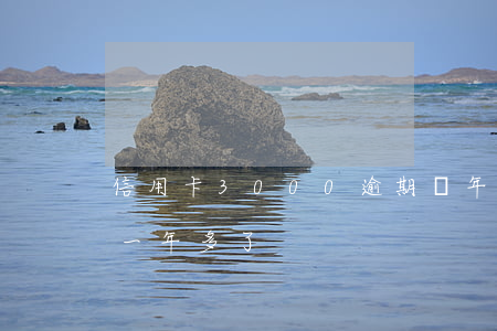 信用卡3000逾期幾年了(信用卡3萬逾期一年多了)