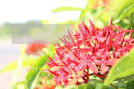 信用卡3000逾期抓人(信用卡逾期了三個月公安會不會來抓人)
