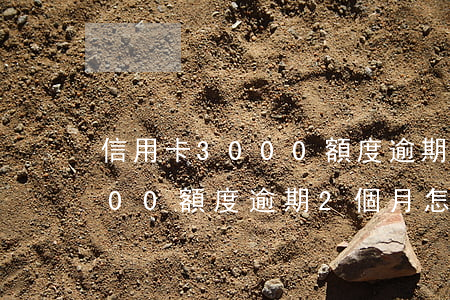 信用卡3000額度逾期2個月 信用卡3000額度逾期2個月怎么辦