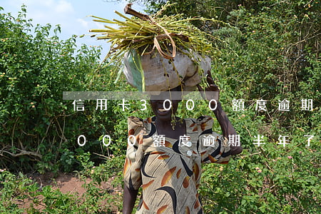 信用卡3000額度逾期半年0-信用卡3000額度逾期半年了還多少