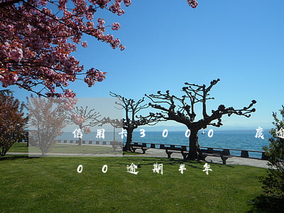 信用卡3000額度逾期后還清(信用卡3000逾期半年)