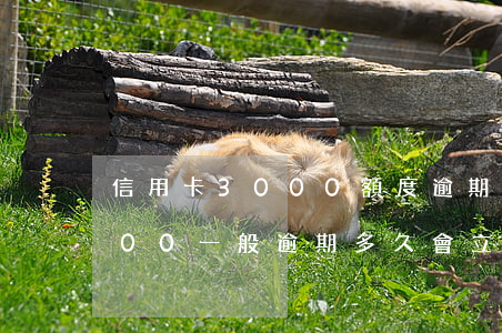 信用卡3000額度逾期立案 欠信用卡3000一般逾期多久會立案
