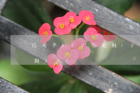 信用卡300元逾期10天(信用卡30元逾期5天)