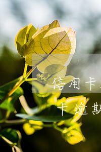 信用卡300元逾期3天-3000元信用卡逾期三年利息多少錢