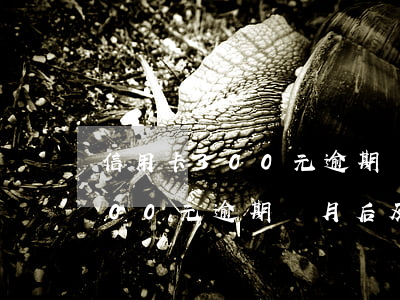 信用卡300元逾期兩月后及時-信用卡300元逾期兩月后及時還款