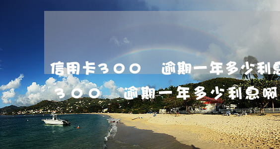 信用卡300塊逾期一年多少利息-信用卡300塊逾期一年多少利息啊