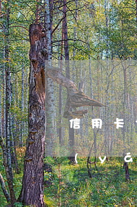 信用卡300塊錢(qián)逾期5天嚴(yán)重嗎（信用卡300逾期后果）