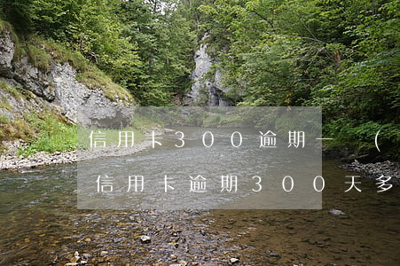 信用卡300逾期一個(gè)月利息多少（信用卡逾期300天多嚴(yán)重嗎）