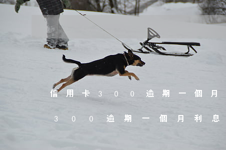 信用卡300逾期一個月利息多少-信用卡300逾期一個月利息多少合適