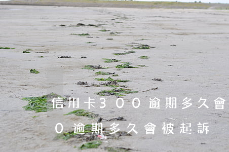 信用卡300逾期多久會被起訴(信用卡300逾期多久會被起訴)
