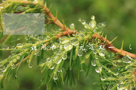 信用卡30元逾期一個(gè)月