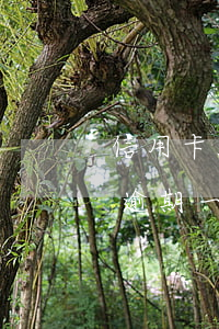 信用卡30元逾期一周的后果(信用卡30元逾期一周的后果)