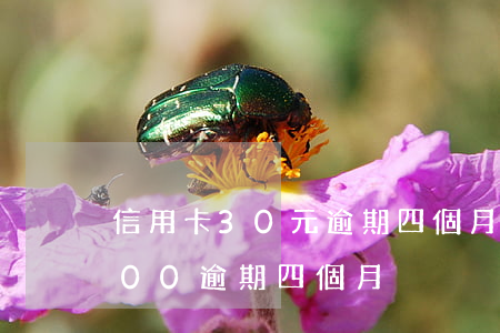 信用卡30元逾期四個月怎么辦(信用卡3000逾期四個月)