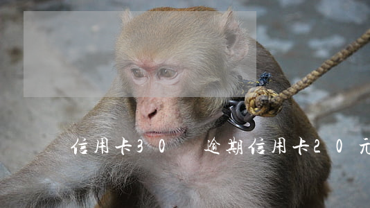 信用卡30塊逾期(信用卡20元逾期一個月)