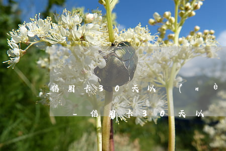 信用卡30天以內(nèi)逾期三天怎么辦-信用卡30天以內(nèi)逾期三天怎么辦理