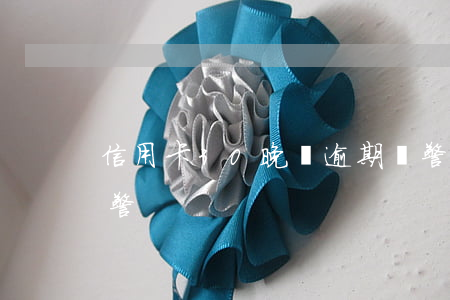 信用卡30晚萬逾期報警(信用卡逾期銀行報警)