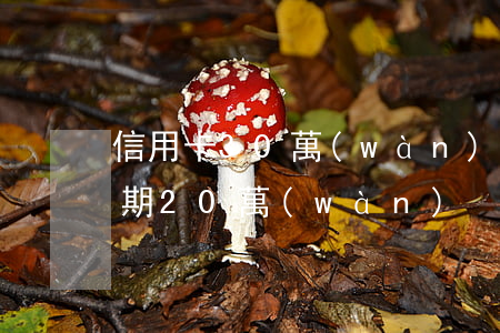 信用卡30萬(wàn)逾期5年(信用卡逾期20萬(wàn))