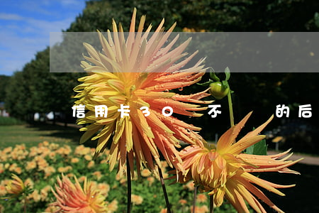 信用卡30萬不還錢的后果