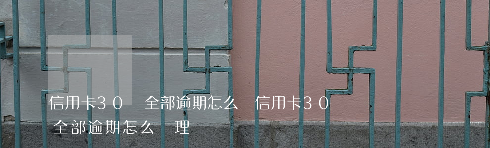 信用卡30萬全部逾期怎么辦(信用卡30萬全部逾期怎么辦理)