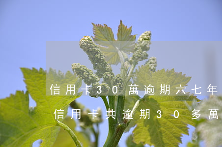 信用卡30萬逾期六七年了怎么辦?（6家銀行信用卡共逾期30多萬）