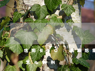 信用卡30萬逾期后果-30萬信用卡逾期怎么判刑