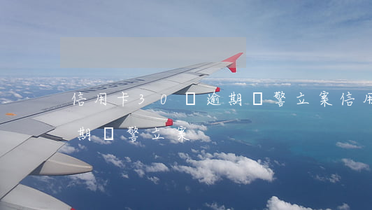 信用卡30萬逾期報警立案(信用卡30萬逾期報警立案)