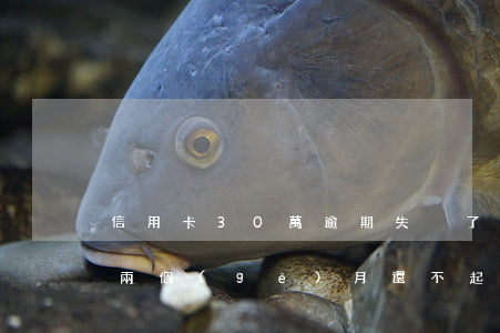 信用卡30萬逾期失蹤了(信用卡30萬逾期兩個(gè)月,還不起了)