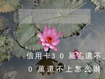 信用卡30萬逾還不上如何處理-信用卡30萬還不上怎么辦