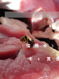 信用卡34個月內(nèi)逾期8次(信用卡4萬多逾期六個月)