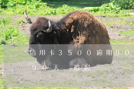 信用卡3500逾期90天后果（信用卡逾期90天會被起訴嗎）