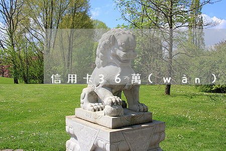 信用卡36萬(wàn)無(wú)力償還