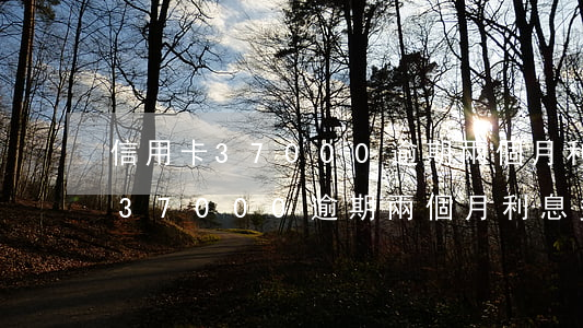 信用卡37000逾期兩個月利息-信用卡37000逾期兩個月利息多少