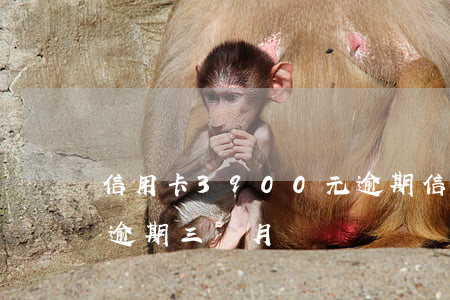 信用卡3900元逾期 信用卡8000塊錢逾期三個月