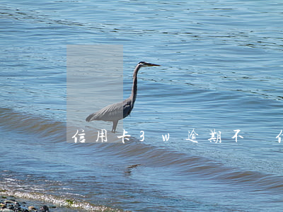 信用卡3w逾期不還(信用卡3萬逾期)
