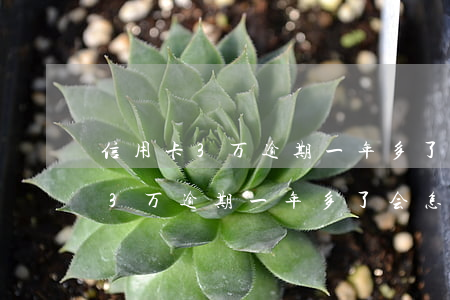 信用卡3万逾期一年多了会怎样样-信用卡3万逾期一年多了会怎样样呢
