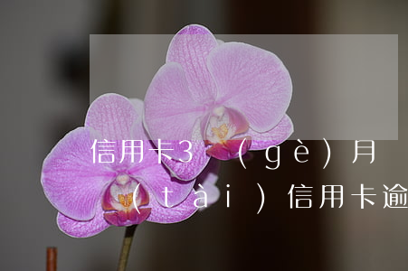 信用卡3個(gè)月內(nèi)逾期狀態(tài) 信用卡逾期3天