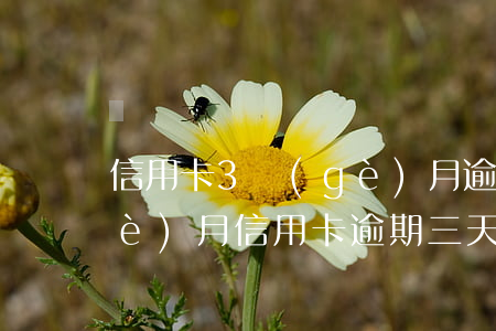 信用卡3個(gè)月逾期三天-每個(gè)月信用卡逾期三天