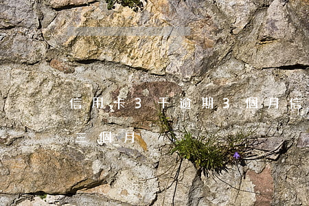 信用卡3千逾期3個月(信用卡3000逾期三個月)