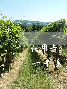信用卡3千逾期一年多了-信用卡3萬逾期一年多了